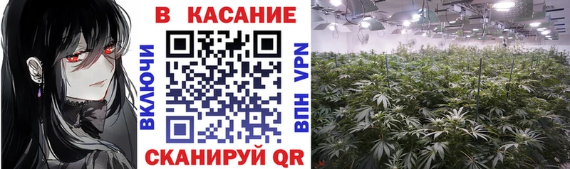 Купить наркотик аптеки Колпашево MEGA сайт МЕФ APVP МАРИХУАНА ГАШ Кокаин
