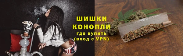 трава Арсеньев