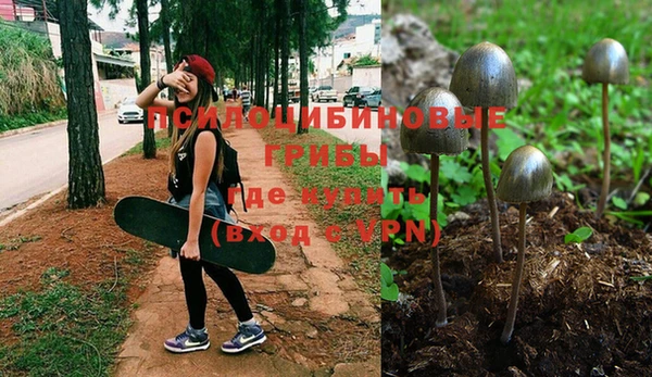 кокс Баксан