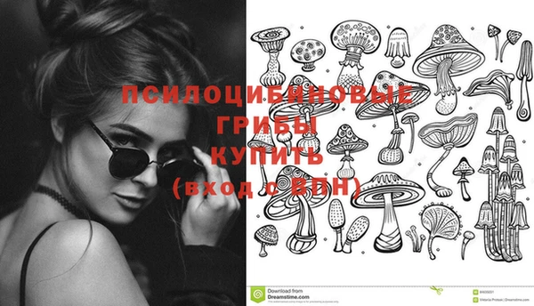 трава Арсеньев